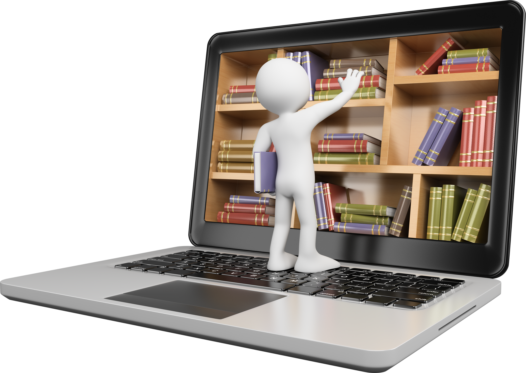 3D Figure and a Digital Library